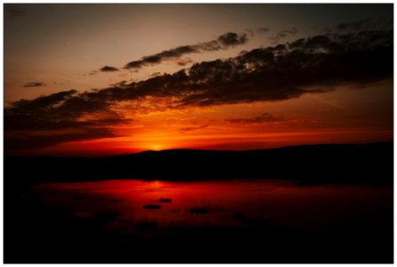 Leighton Moss Sunrise photo