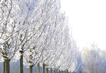 Landscape frost cold