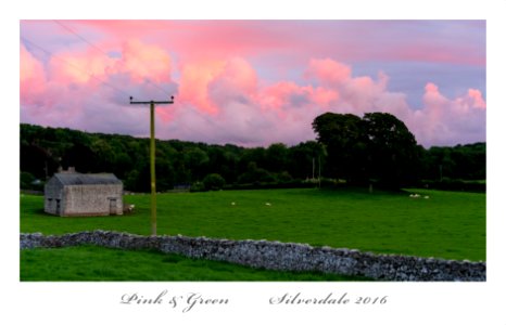 Pink & Green photo