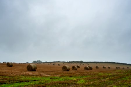 Summer Hols Day 2- Rain and Hay photo