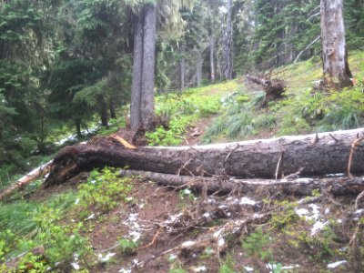 Klickitat Trail