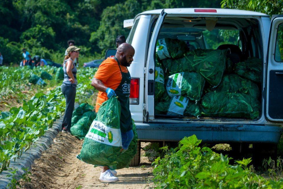 20170714-PJK-Gleaning-1044TONED