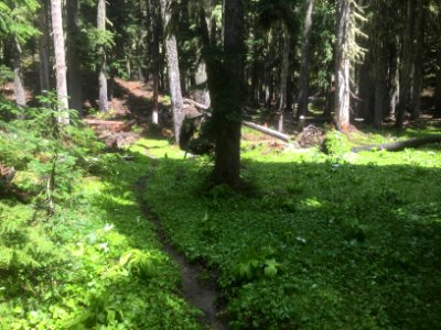 Klickitat Trail