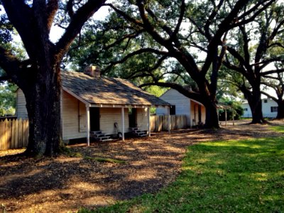 Oak Alley Plantation