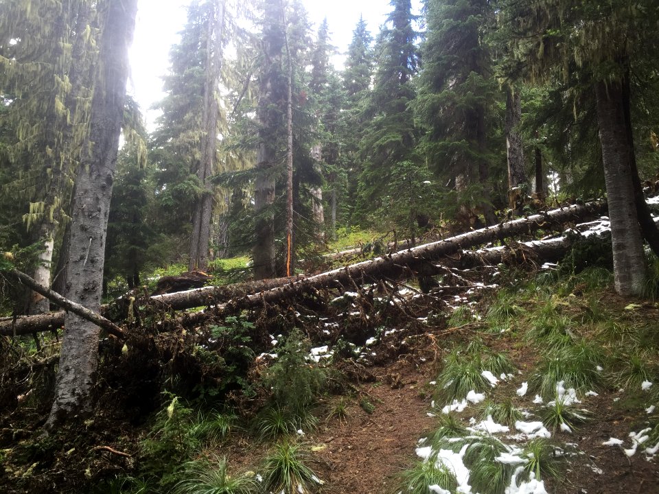 Klickitat Trail