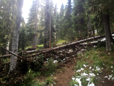 Klickitat Trail