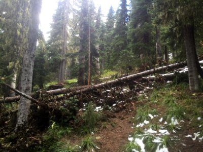 Klickitat Trail photo