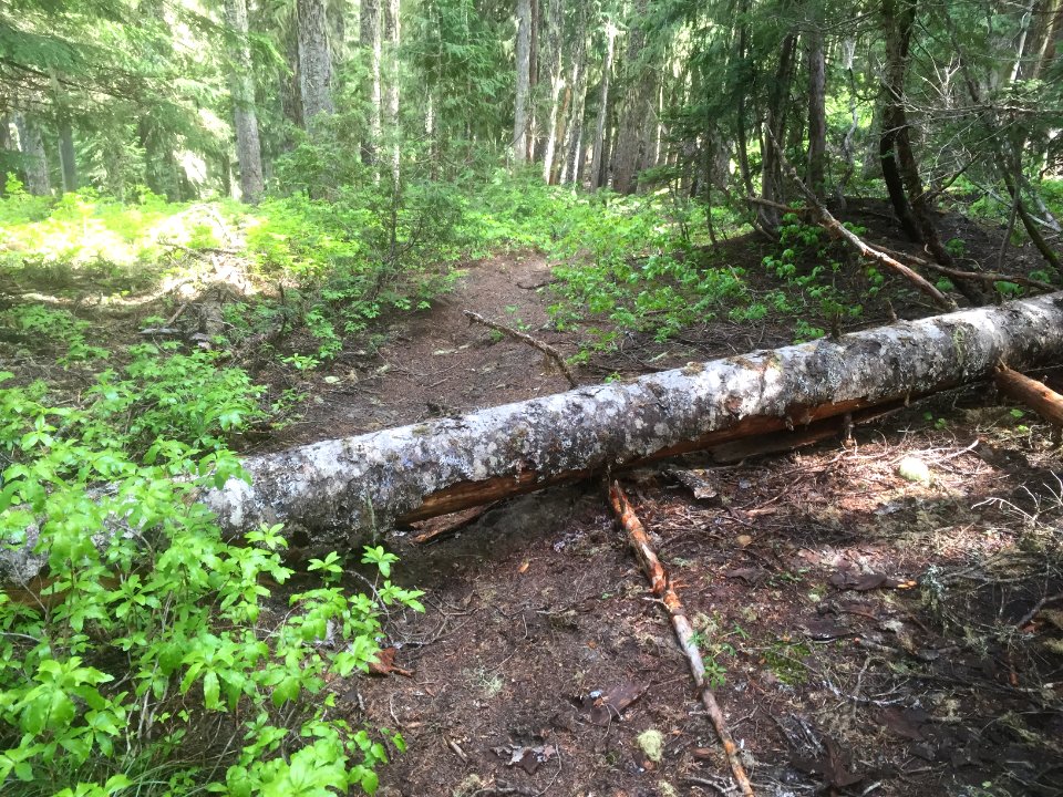 Klickitat 7A