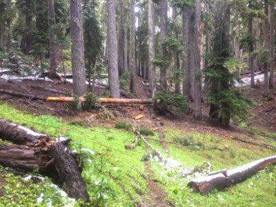 Klickitat Trail