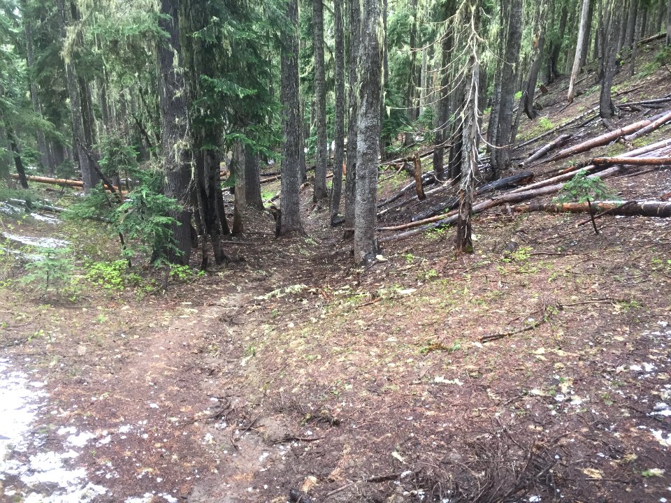 Klickitat Trail