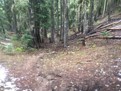 Klickitat Trail