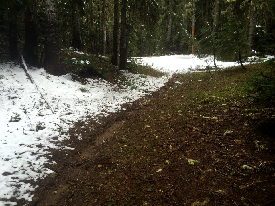 Klickitat Trail