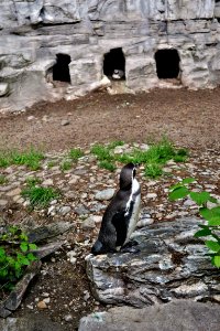 zoological garden