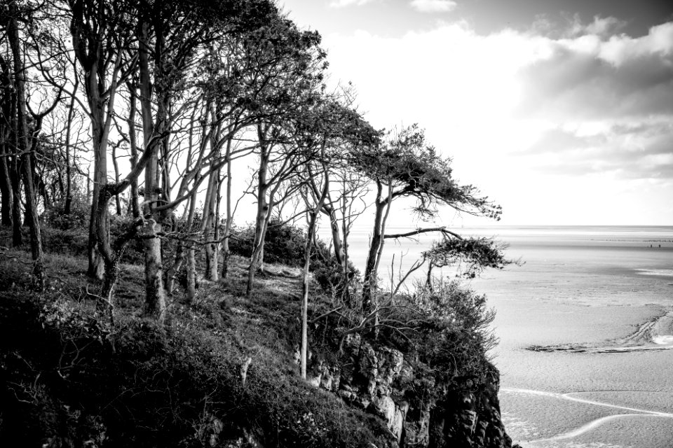 Silverdale sans Colour - 1 of 3