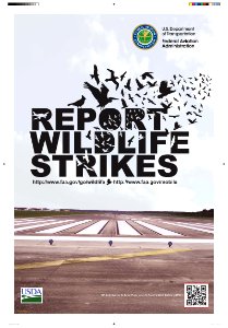 FAA strike poster