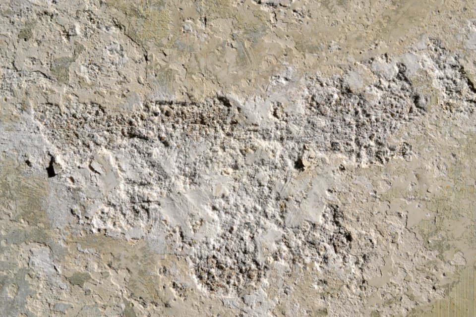 wall