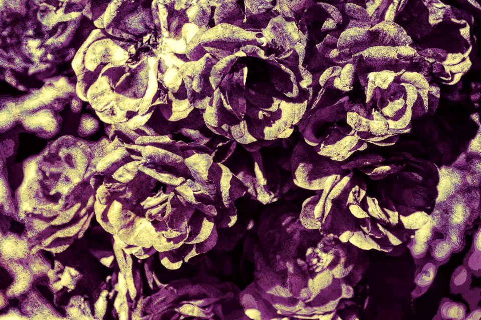 Photos edited