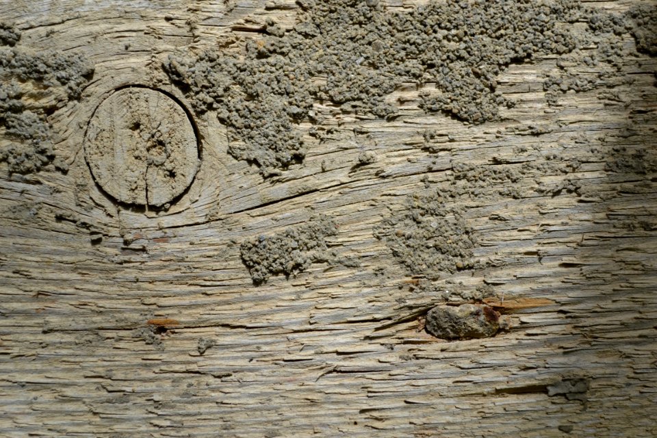 texture