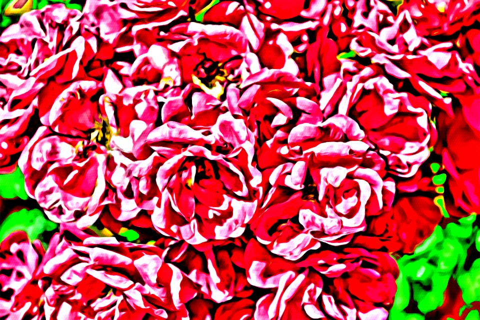 Photos edited