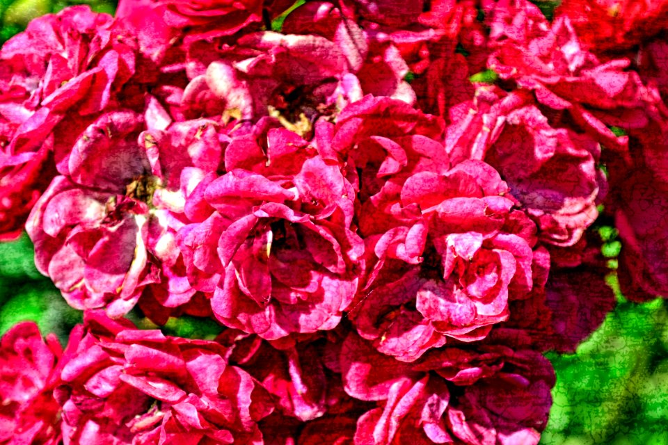 Photos edited