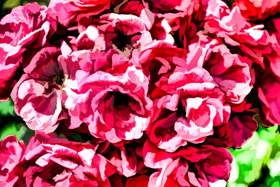 Photos edited