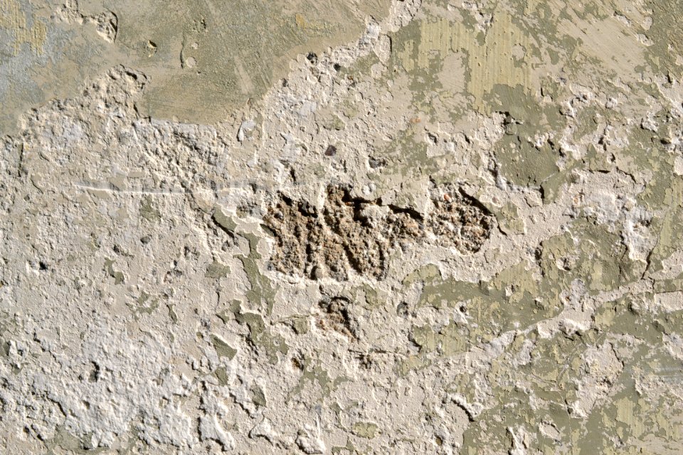 wall
