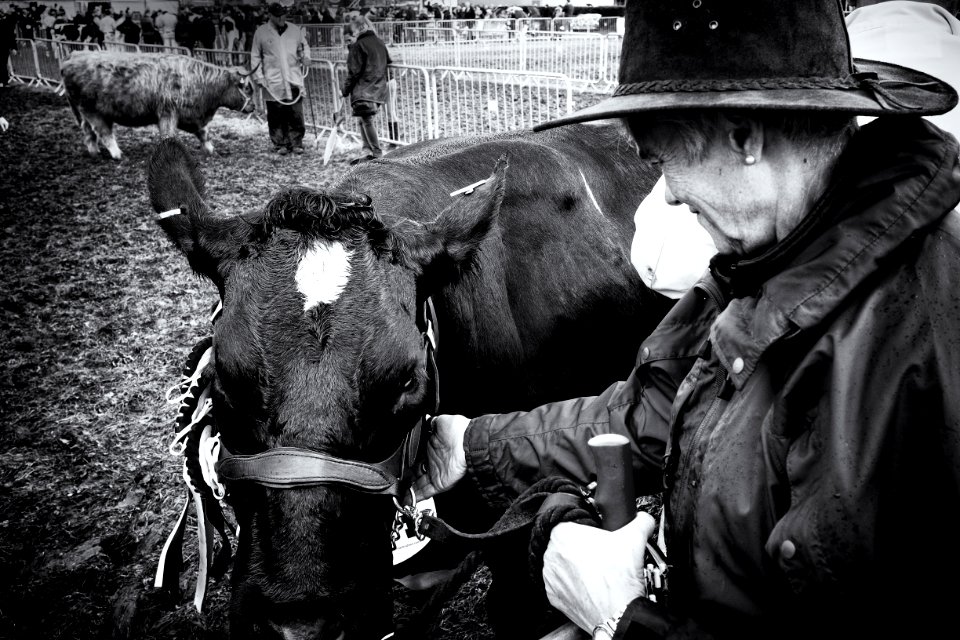 Scenes from Westmorland County Show - No. 11