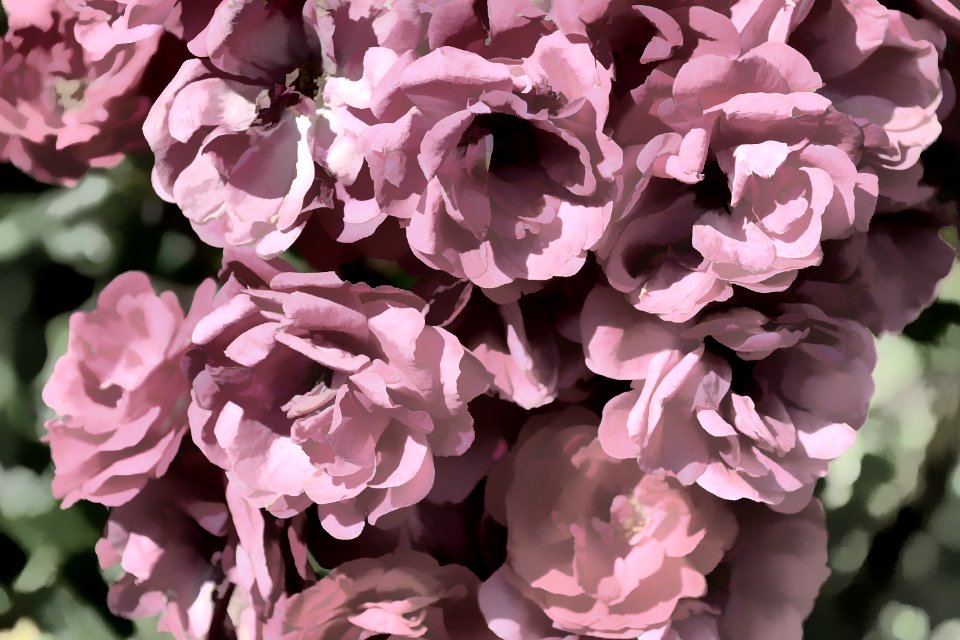 Photos edited