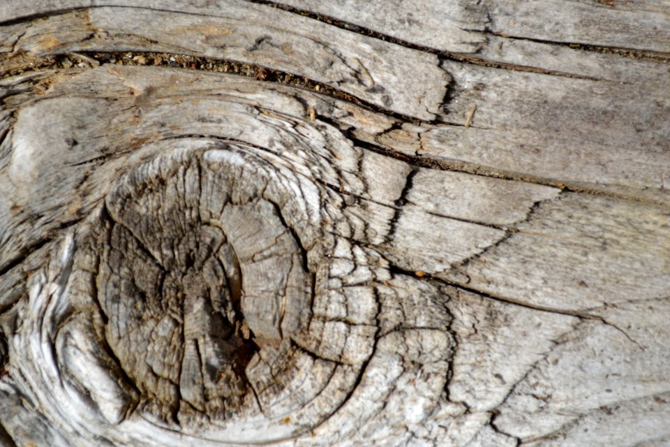 texture