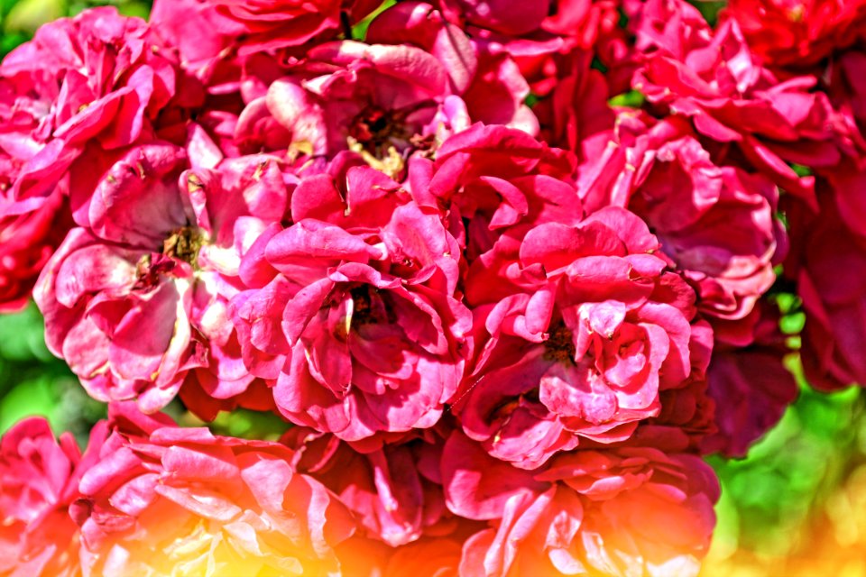 Photos edited