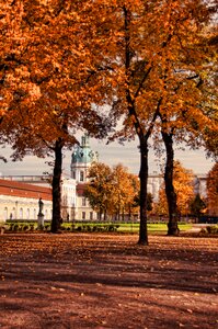 Autumn schlossgarten castle photo
