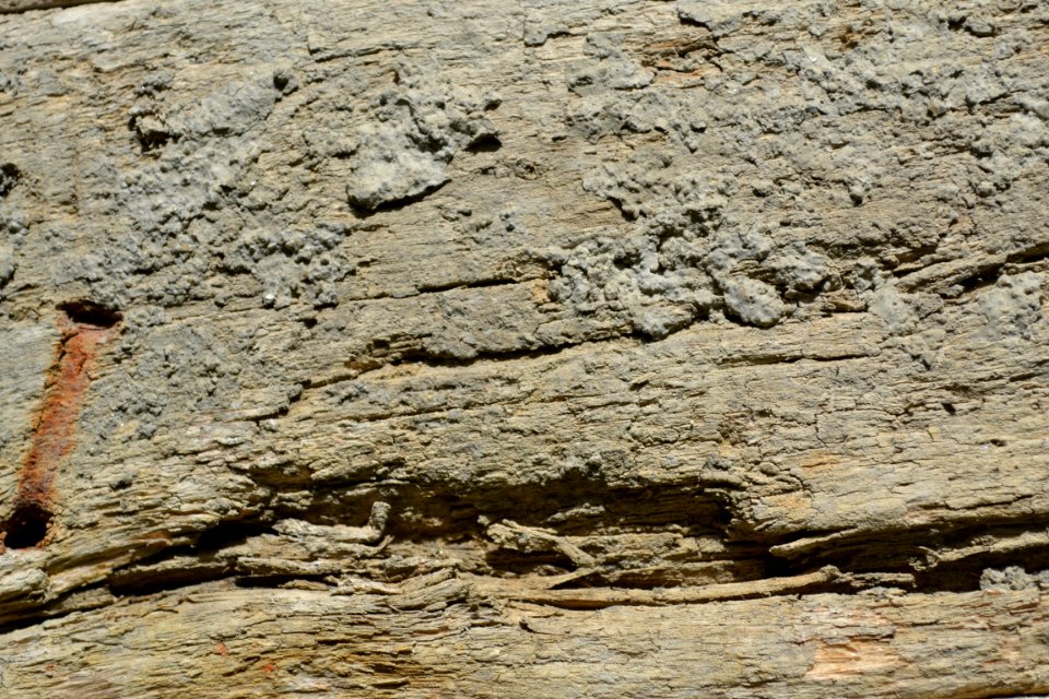 texture