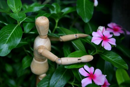 Puppet spring every day adoption of flowers