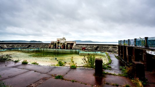 Summer Hols Day 8 - Drizzle and Regeneration photo