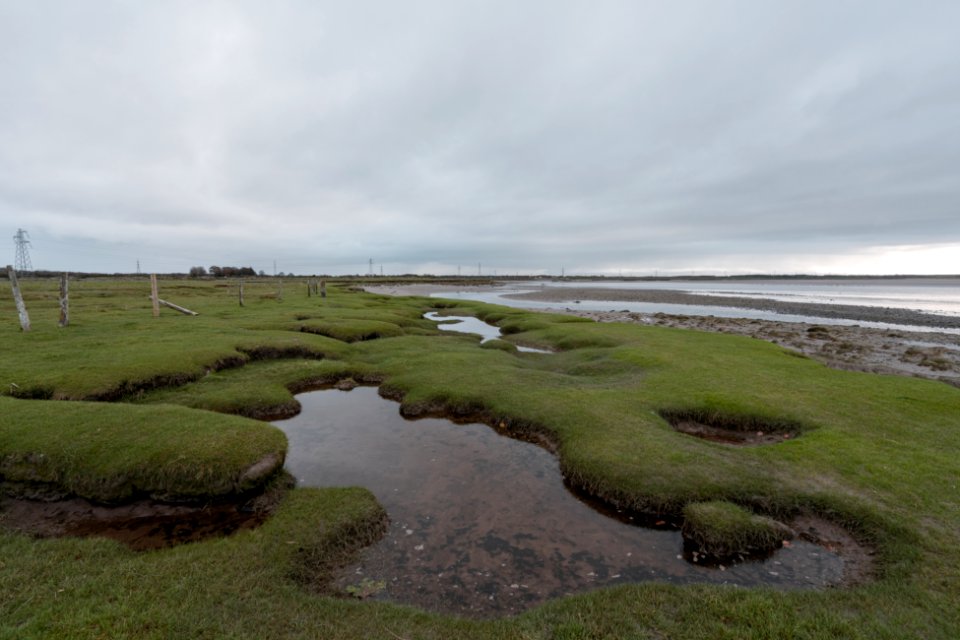 Channel of River Esk (2 of 6) photo