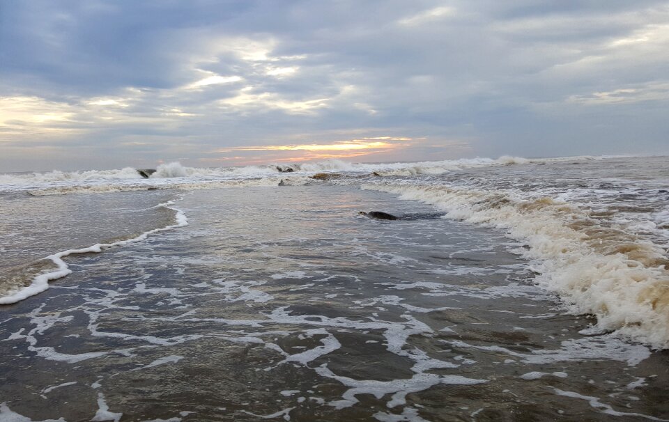 Ocean wave beach swimming