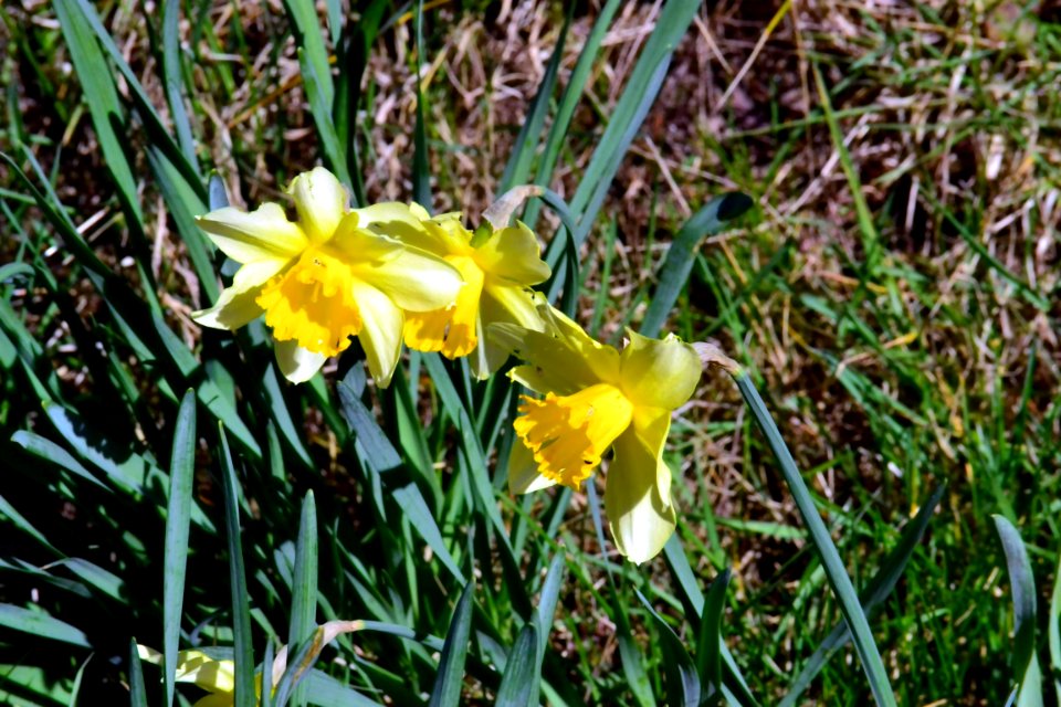 Spring 2014