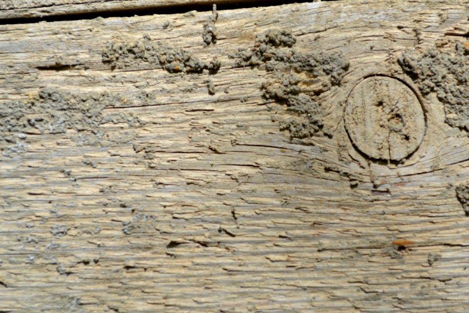 texture