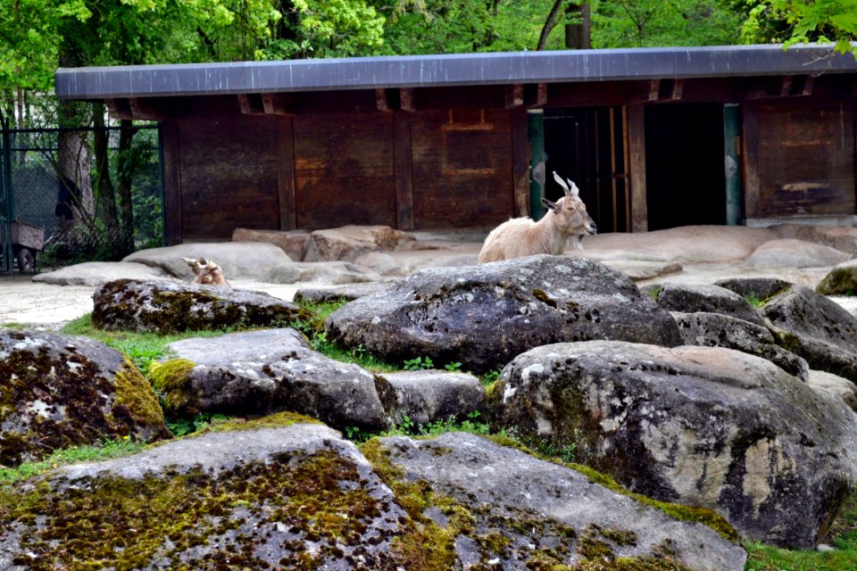 zoological garden