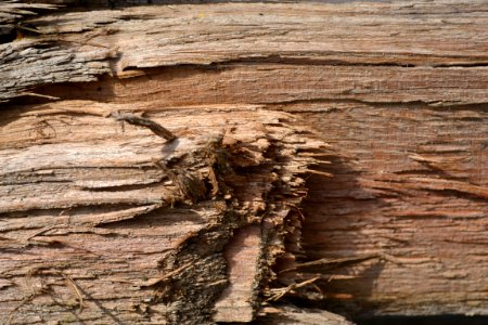 texture