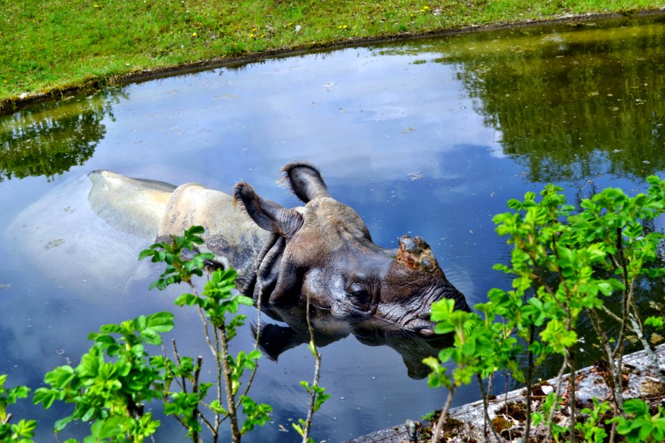 zoological garden