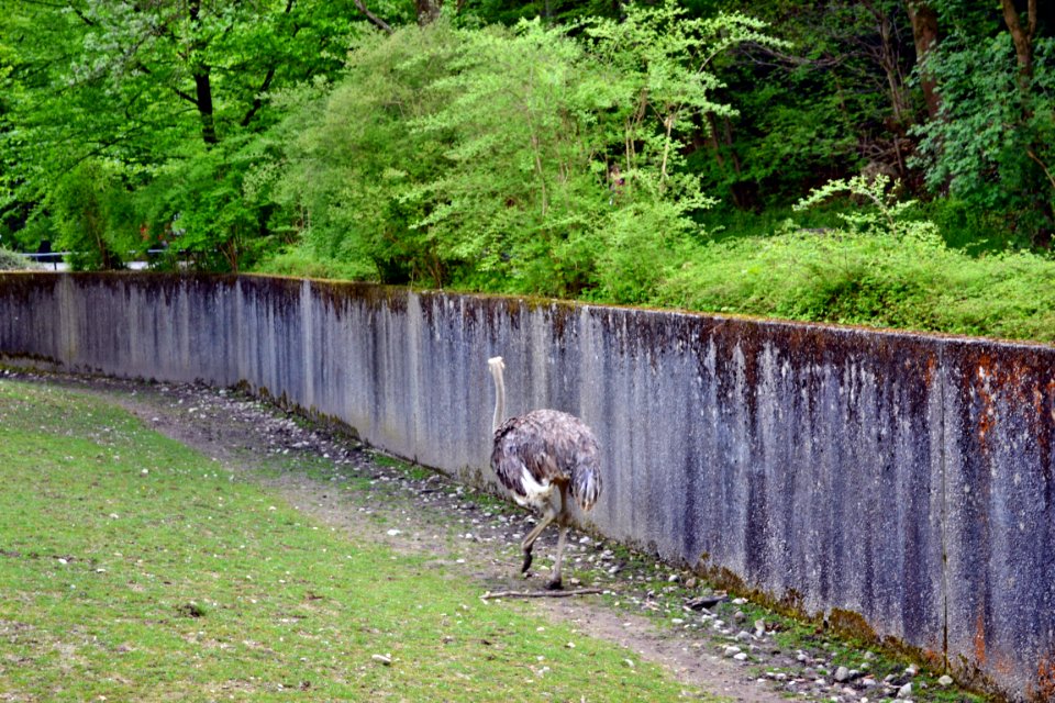 zoological garden