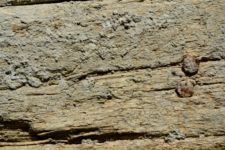 texture