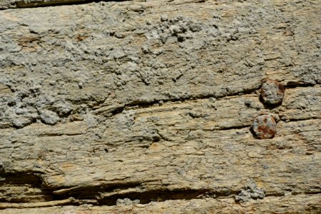 texture