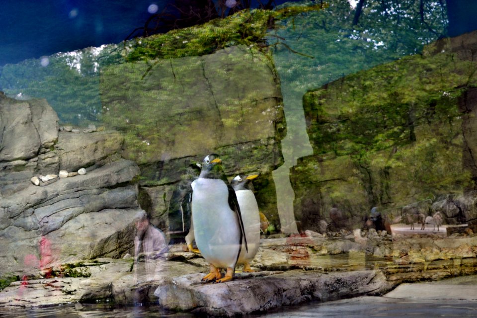 zoological garden
