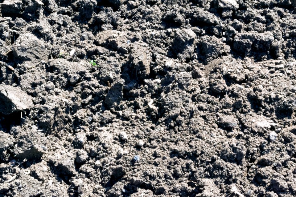 earth digging