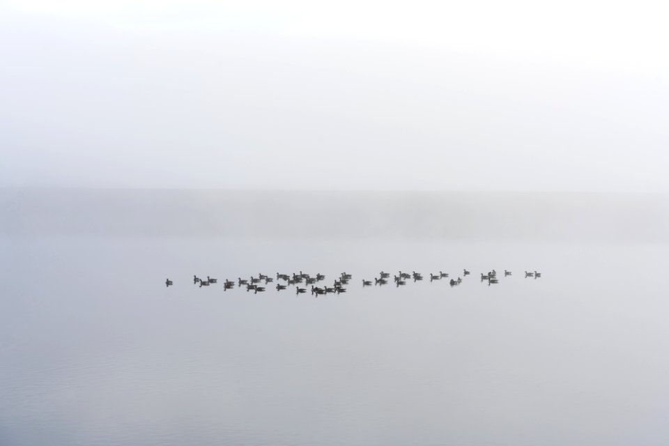 L to L Canal --  (5 of 6)