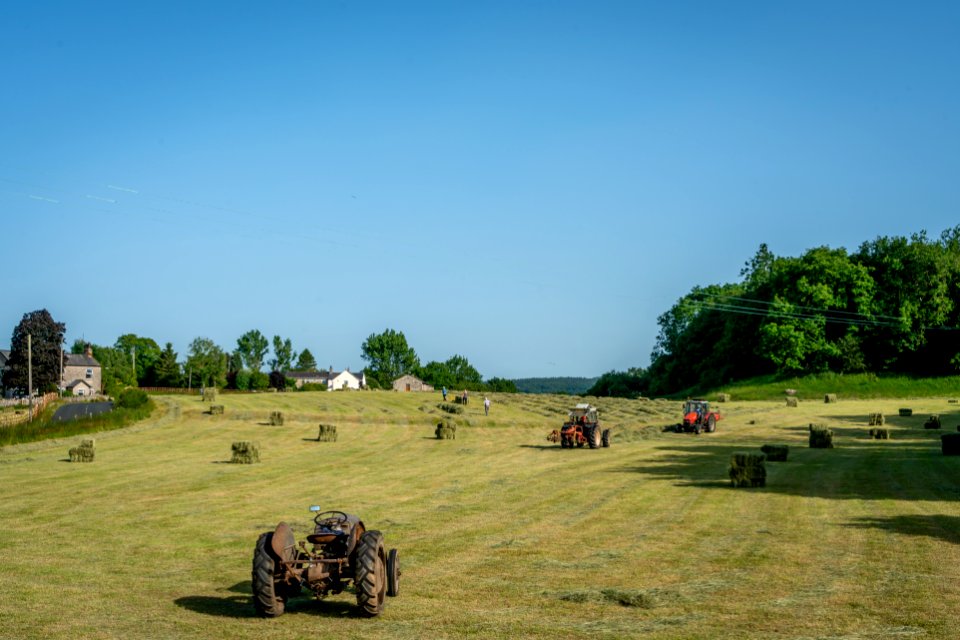 Busy busy in Silverdale. photo