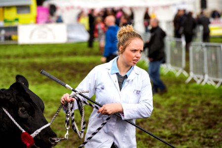 "Champ" | Scenes from Westmorland County Show - No.4