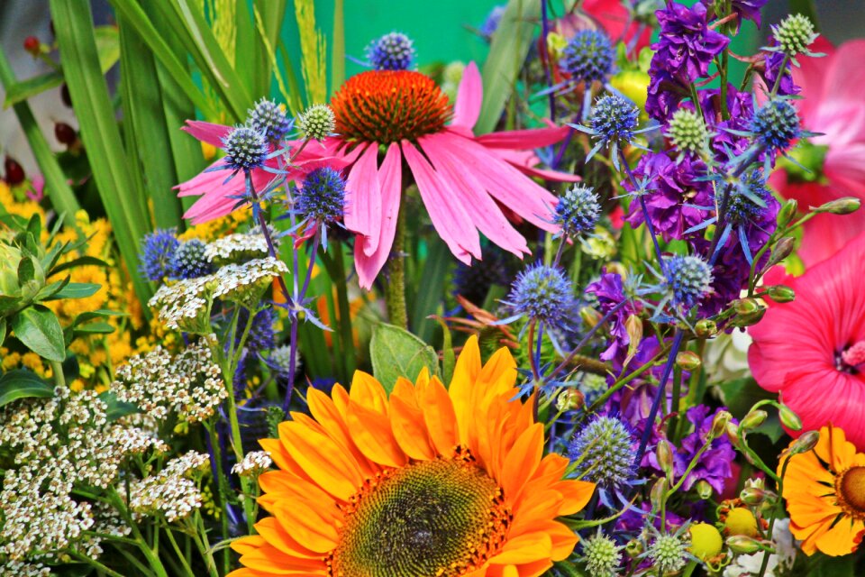 Market stall flower trade farbenpracht